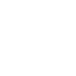 Economic Reforms
